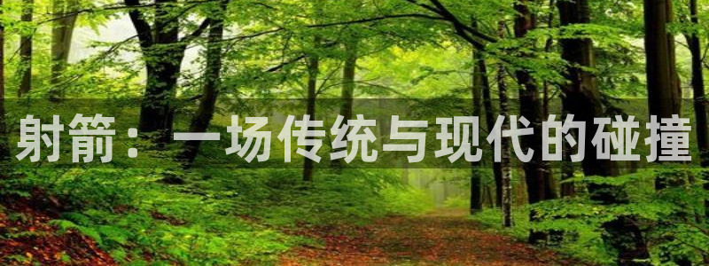 尊龙官方平台体育:射箭:一场传统与现代的碰撞