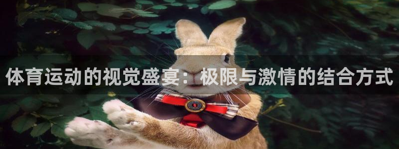 尊龙官网下载:体育运动的视觉盛宴:极限与激情的结合方式